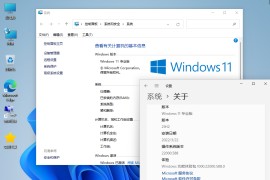 【纯净版系统】21H2 22000 Windows 11 X64位 纯净专业版